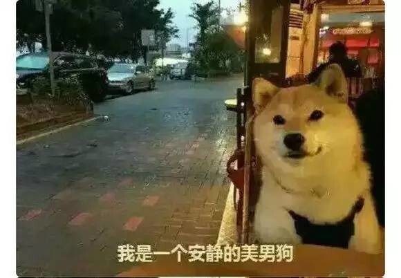 小鹿推广,竞价软件,SEM营销
