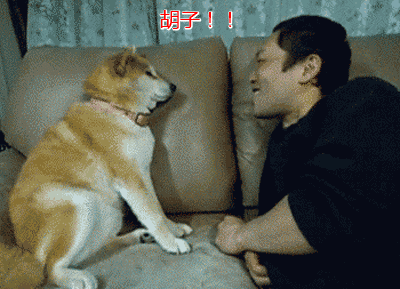 小鹿推广,竞价软件,SEM营销