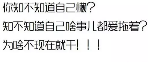 小鹿推广,竞价软件,SEM营销