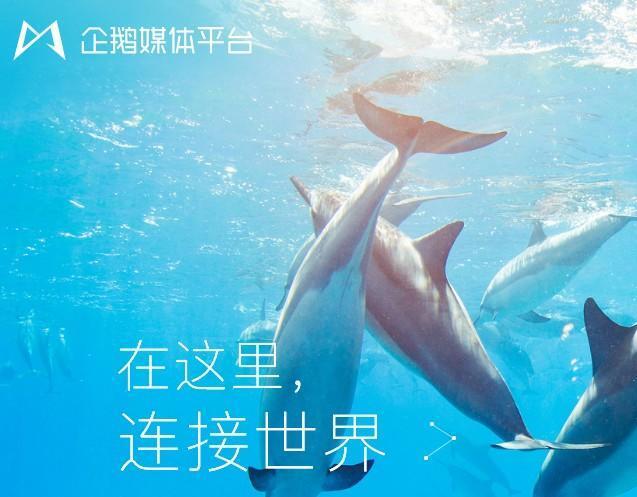 小鹿推广,竞价软件,SEM营销