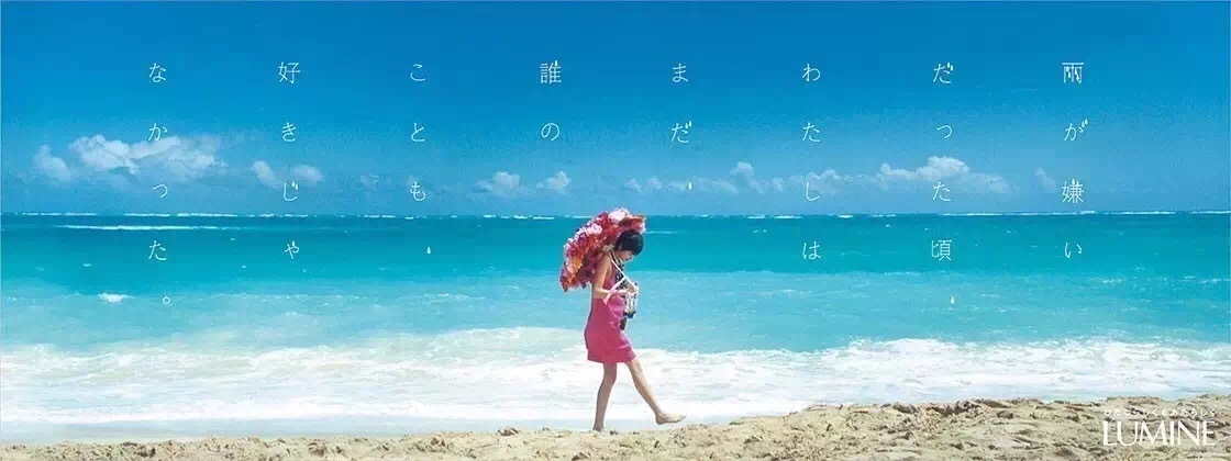 小鹿推广,竞价软件,SEM营销