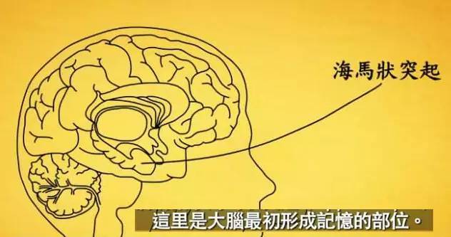 小鹿推广,竞价软件,SEM营销 小鹿推广,竞价软件,SEM营销