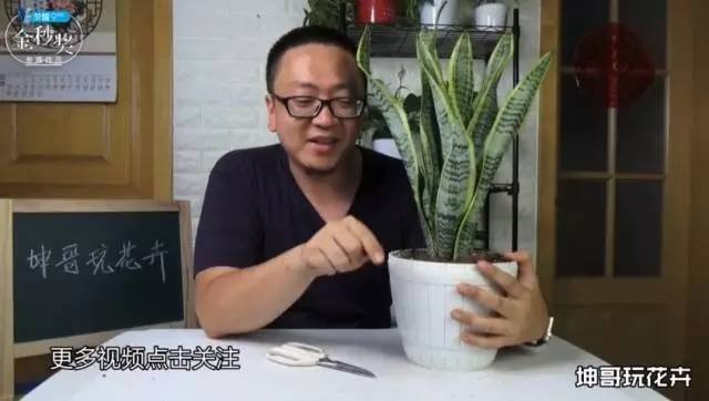 小鹿推广,竞价软件,SEM营销