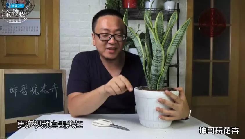 小鹿推广,竞价软件,SEM营销