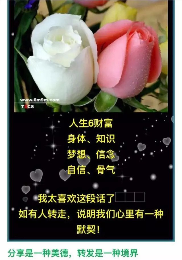 小鹿推广,竞价软件,SEM营销