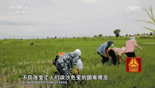 小鹿推广,竞价软件,SEM营销