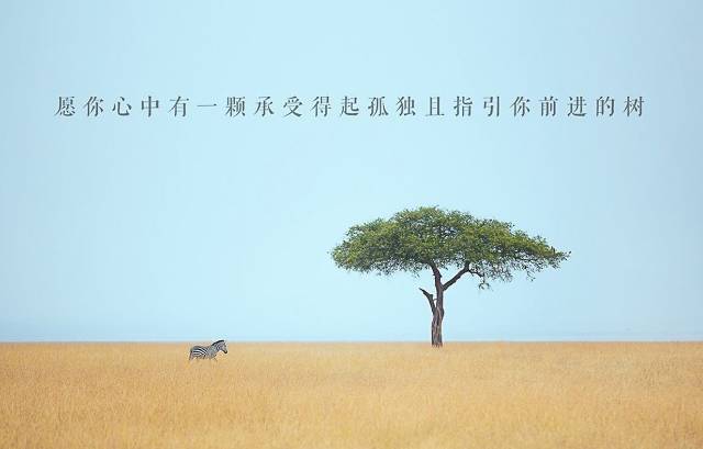 小鹿推广,竞价软件,SEM营销