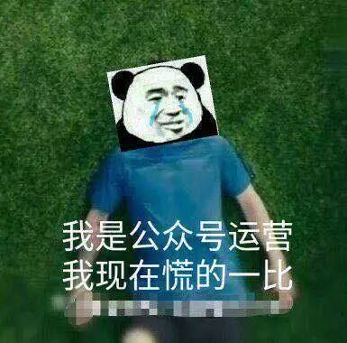 小鹿推广,竞价软件,SEM营销