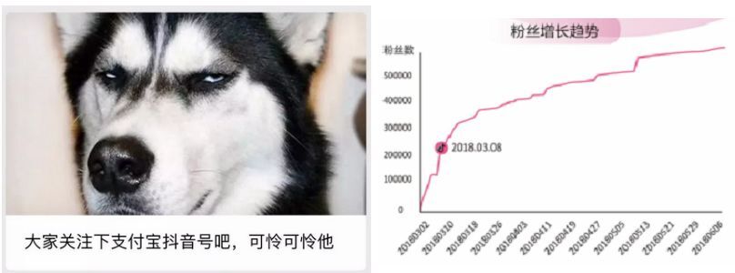 小鹿推广,竞价软件,SEM营销