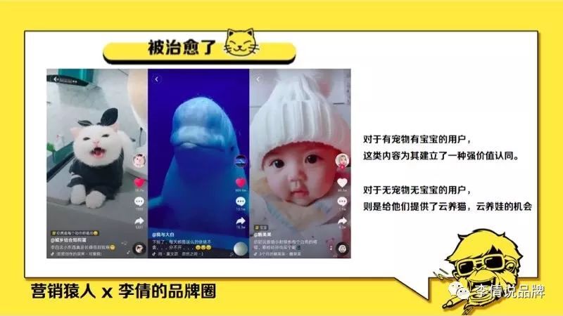 小鹿推广,竞价软件,SEM营销