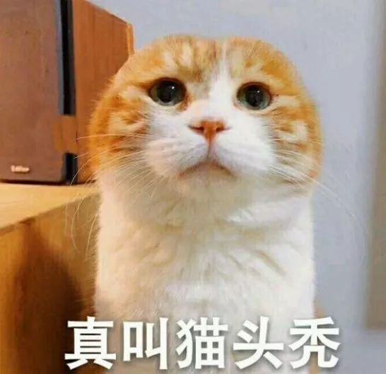 小鹿推广,竞价软件,SEM营销