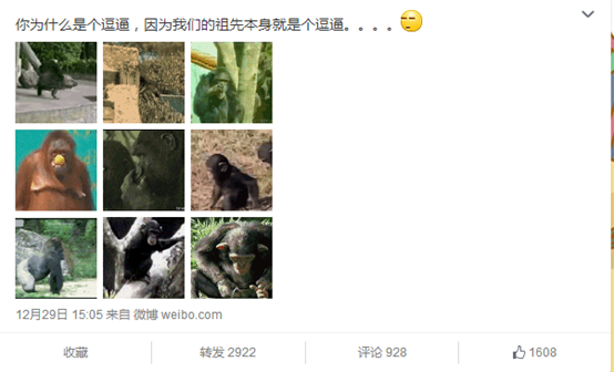 小鹿推广,竞价软件,SEM营销