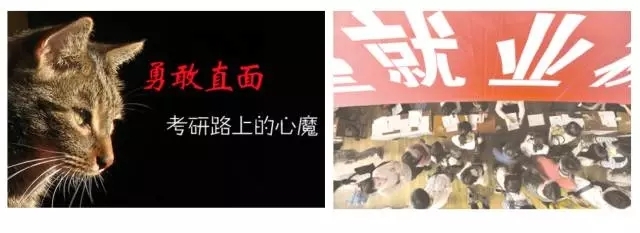 小鹿推广,竞价软件,SEM营销