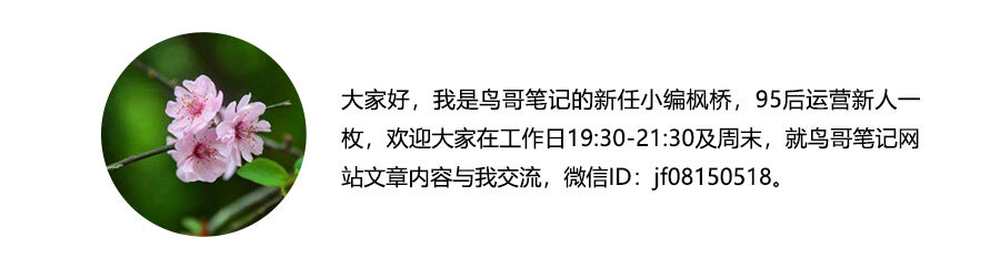 小鹿推广,竞价软件,SEM营销