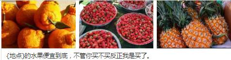 小鹿推广,竞价软件,SEM营销
