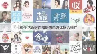 小鹿推广,竞价软件,SEM营销