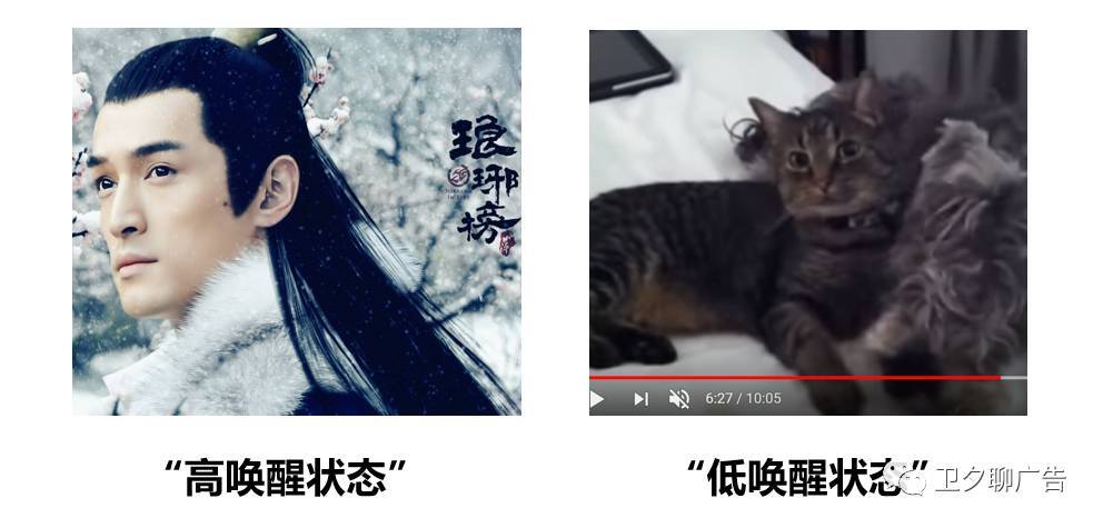 小鹿推广,竞价软件,SEM营销