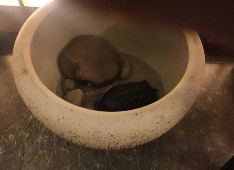 小鹿推广,竞价软件,SEM营销