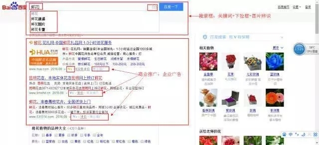 小鹿推广,竞价软件,SEM营销