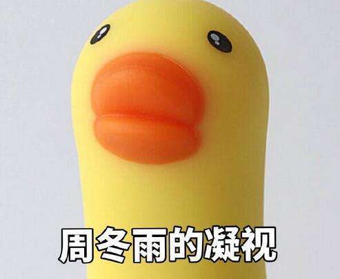 小鹿推广,竞价软件,SEM营销