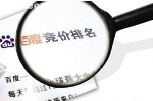 小鹿推广,竞价软件,SEM营销