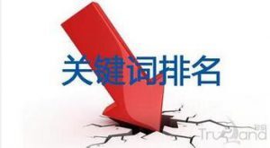 小鹿推广,竞价软件,SEM营销