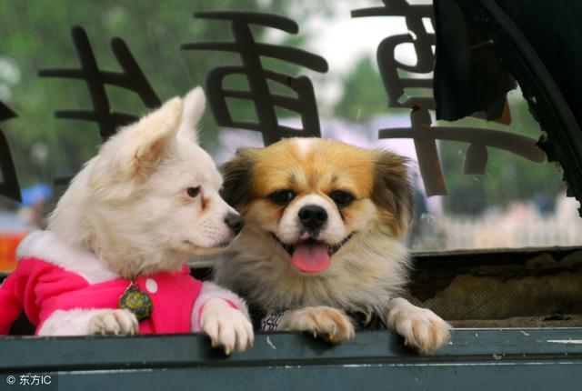 小鹿推广,竞价软件,SEM营销