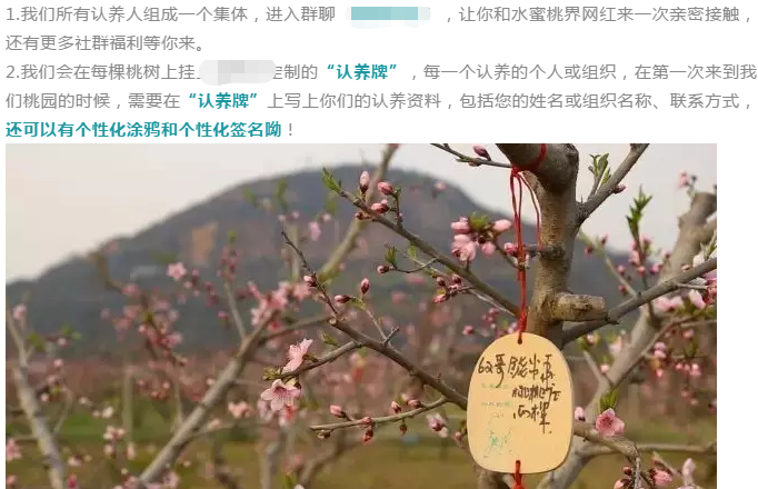 小鹿推广,竞价软件,SEM营销
