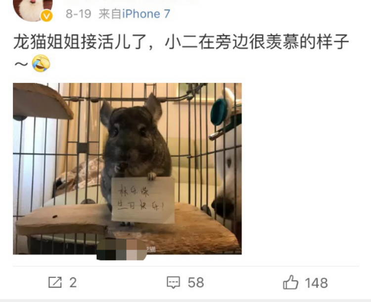 小鹿推广,竞价软件,SEM营销
