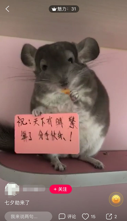 小鹿推广,竞价软件,SEM营销
