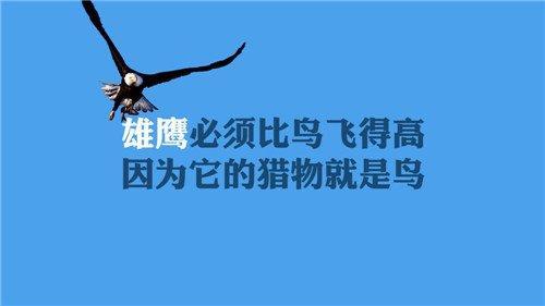 小鹿推广,竞价软件,SEM营销
