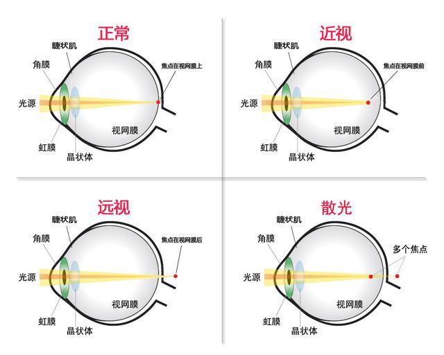 小鹿推广,竞价软件,SEM营销