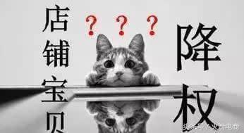 小鹿推广,竞价软件,SEM营销