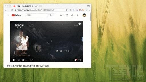 小鹿推广,竞价软件,SEM营销