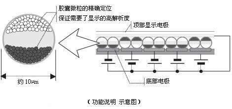 小鹿推广,竞价软件,SEM营销