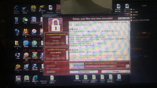 小鹿推广,竞价软件,SEM营销