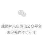 小鹿推广,竞价软件,SEM营销