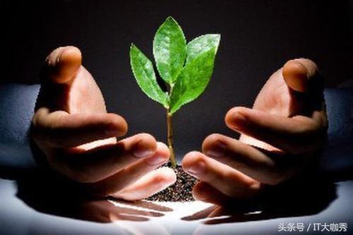 小鹿推广,竞价软件,SEM营销